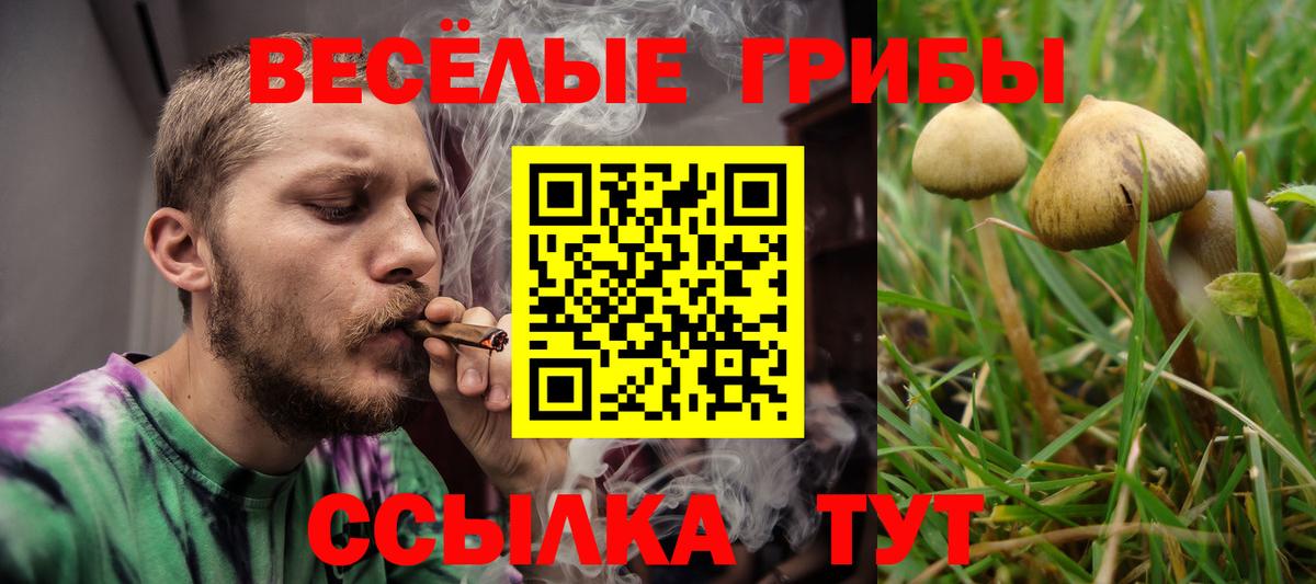 Псилоцибиновые грибы Magic Shrooms Междуреченск